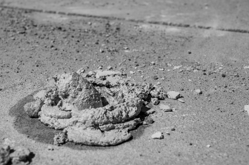 Increase Your Lawn Mowing Business with an AI Driven, Targeted Website