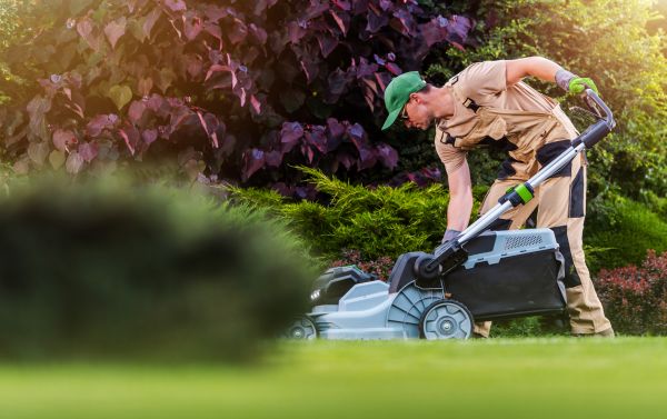 Lawn Care And Maintenance in Peachtree City