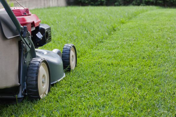 Lawn Care Service in Peachtree City