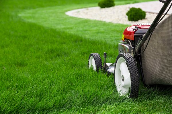 Mowing Service in Peachtree City