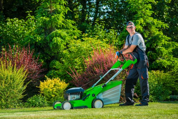 Cost of Yard Work Service in Peachtree City