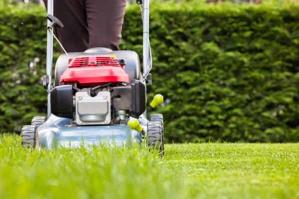 Grass Trimming Service in Peachtree City