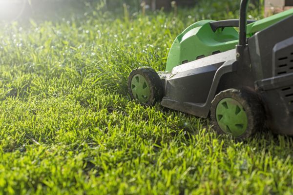 Cost of Yard Trimming in Peachtree City