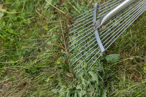 Thatch Raking in Peachtree City