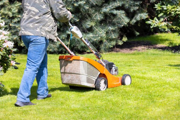 Springtime Lawn Care in Peachtree City
