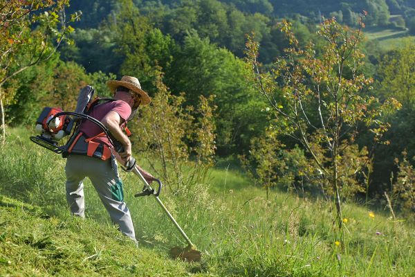 Slope Mowing in Peachtree City