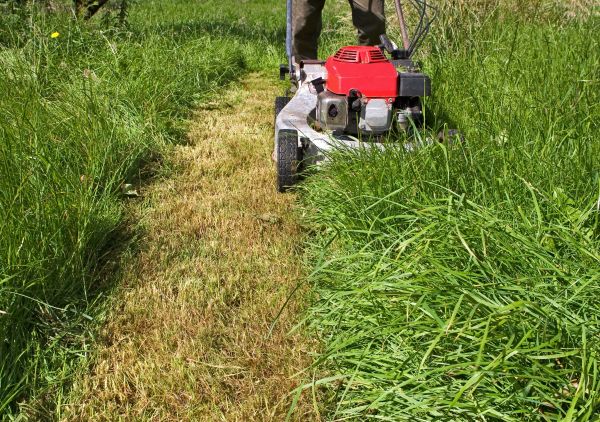 Cost of Leaf Mowing in Peachtree City