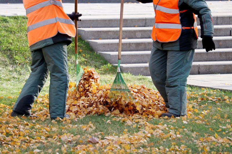 Leaves Gathered After Cleanup