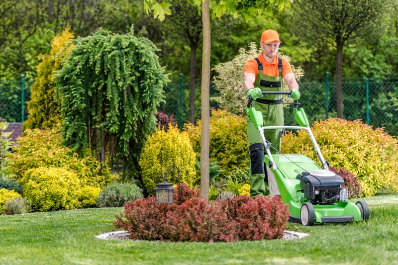 Summer Lawn Maintenance